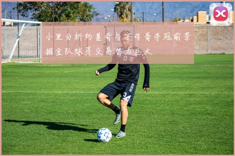 小里分析约基奇与字母哥夺冠前景掘金队球员交易潜力巨大