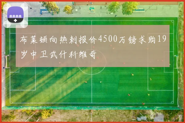 布莱顿向热刺报价4500万镑求购19岁中卫武什科维奇